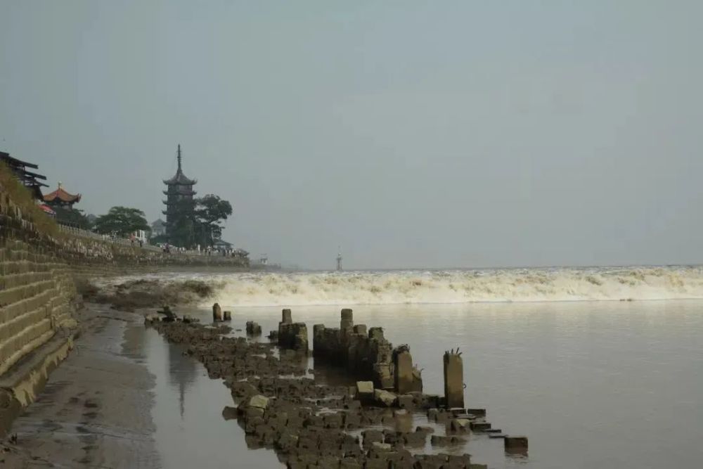 海宁盐官观潮,跟着课本去旅行