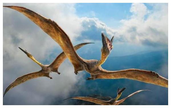 会飞的爬行动物 翼龙类恐龙无齿翼龙(白垩纪时期)