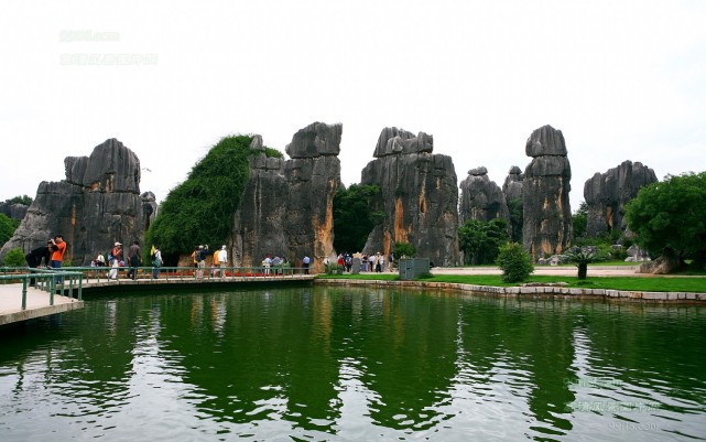 昆明石林景区美景