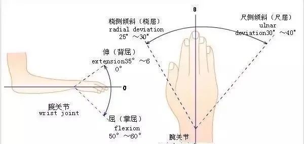 肩,肘,腕关节的查体要点_腾讯新闻