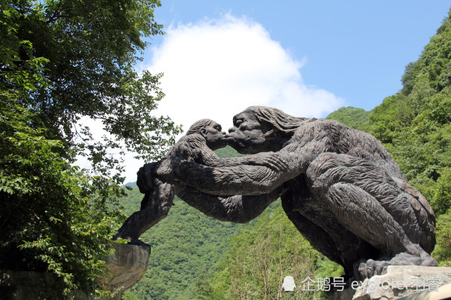 神农架野人的传说到底是怎么来的?徒步神农架一探究竟