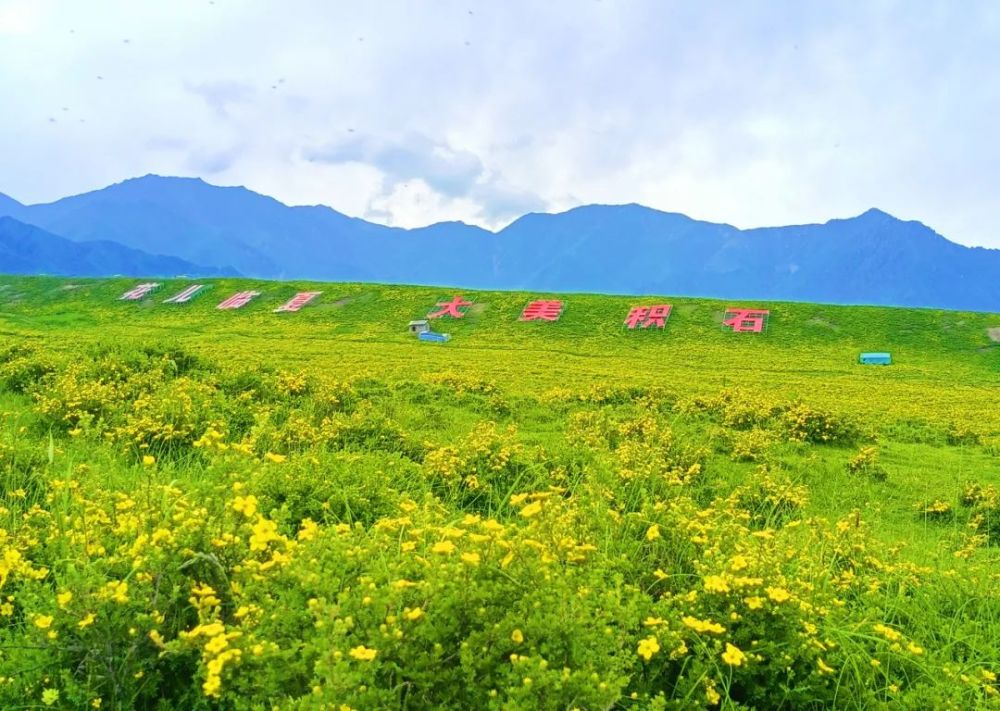 《大美积石》 拍摄地点:积石山县黄草坪