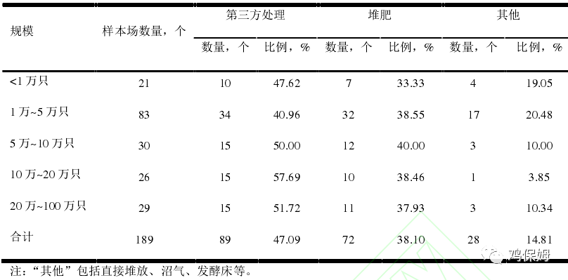 蛋和鸡简谱_小鸡简笔画(3)