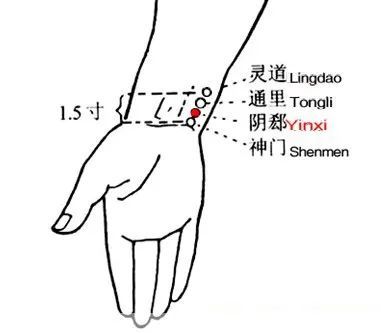 【穴位图】阴郄穴,清热安神止鼻血