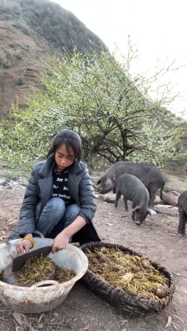 凉山孟阳背后的生活到底是真是假?为何会遭网友谩骂?