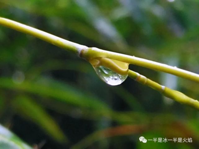 散文诗:寻一刻时光,听雨去(三章)