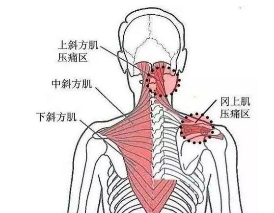 深筋膜炎: 深筋膜炎可由既往外伤或劳损,感觉寒冷等引起,引起局部