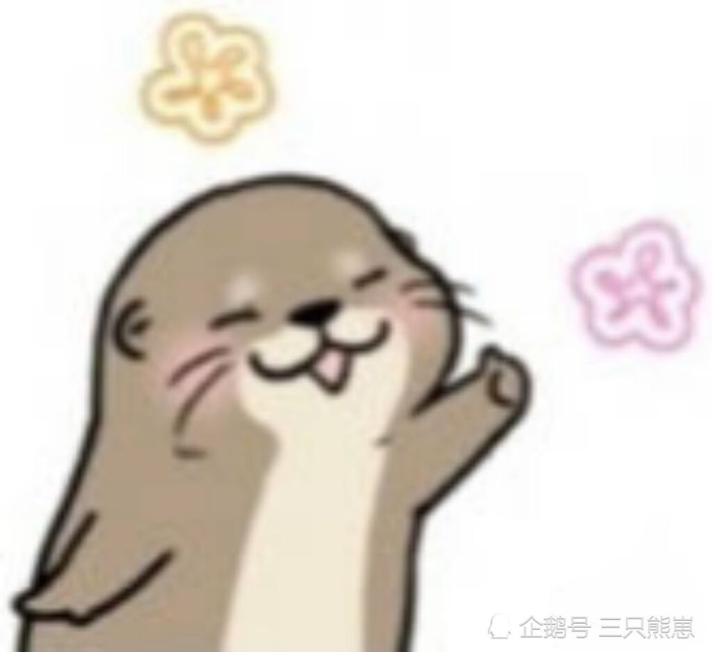 呆萌的海豹表情包