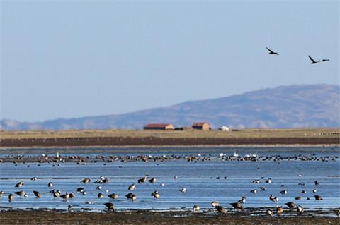 内蒙古地区四大名湖之一达里诺尔湖又称达里湖