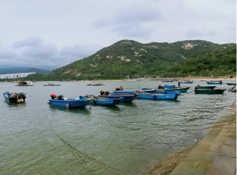 大澳渔船(阳江市阳东区地方志办供图)
