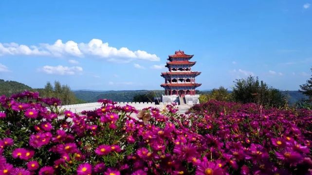 【设计师】盛夏阑珊,红石花海,共赏彩色世界!