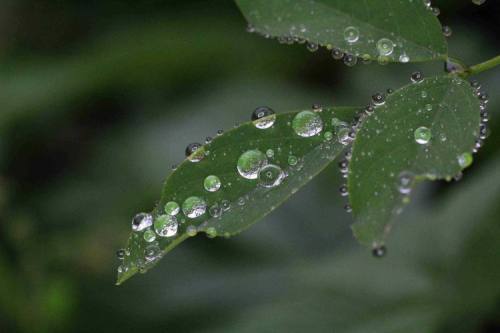 潮哥影像|秋雨留痕!这组照片简直绝绝子,快来给眼睛洗个澡吧