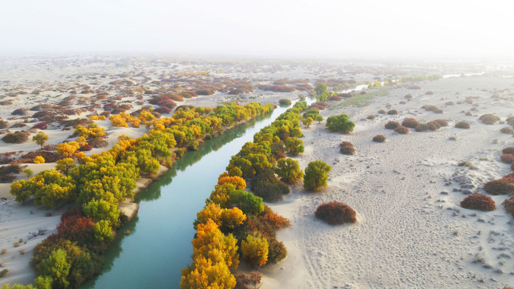 5亿m:新疆塔里木河借主汛期向下游补水,沙漠真要变绿洲了?