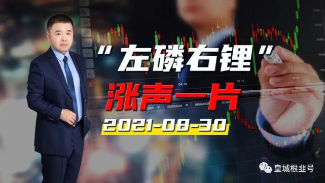"左磷右锂"——涨声一片