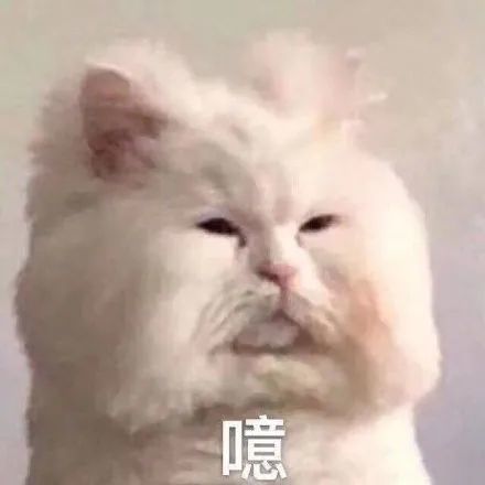狗头保命!速存