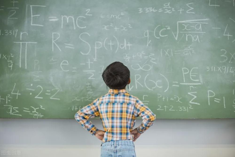 信阳小学排名_信阳小学学区划分图(3)