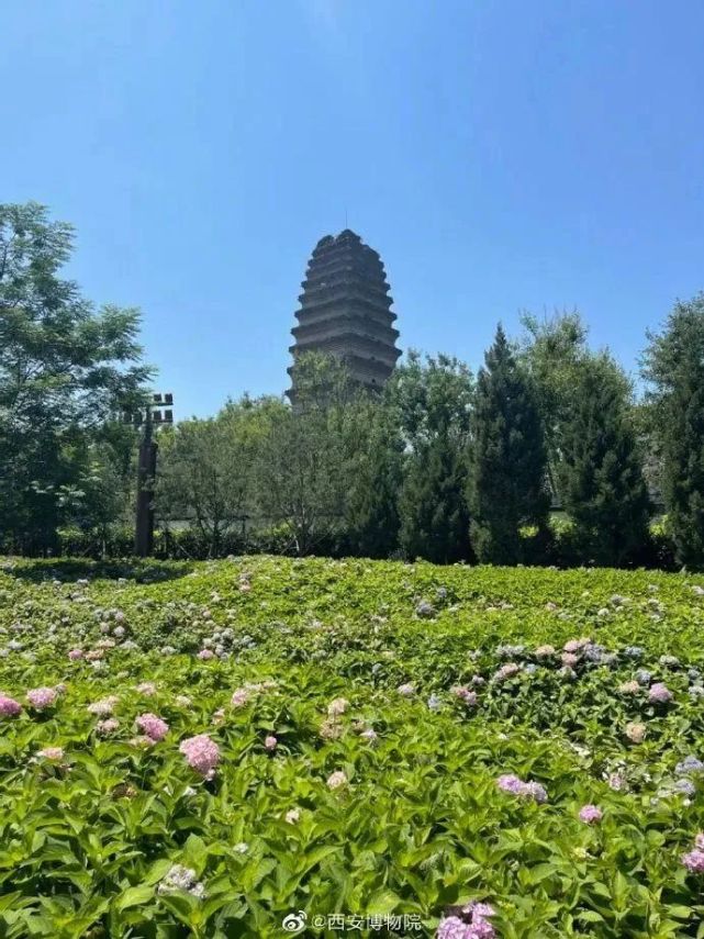 揭秘小雁塔的"神合之谜"