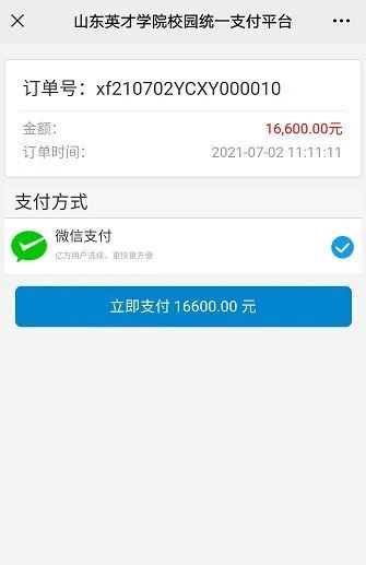 确定金额无误后点击确认,选择微信支付, 系统会自动打开微信支付界面