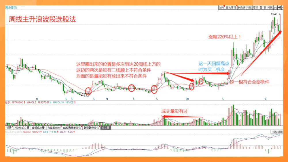 学会周线主升浪选股,炒股轻松吃大肉!