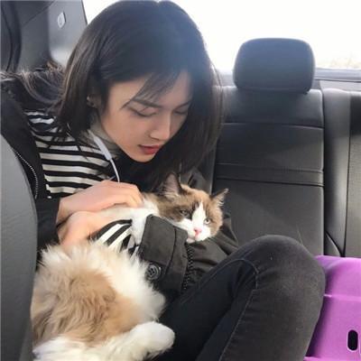 男生养猫和女生养猫的区别,猫咪:现在换主人还来得及吗?