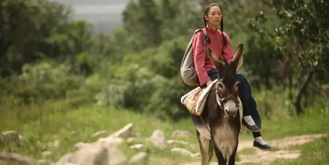 骡子究竟是怎么有着怎么样的来历,为什么骡子怀孕必死