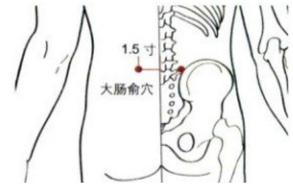 选穴原理:益肾强腰,祛邪通络. 大肠俞定