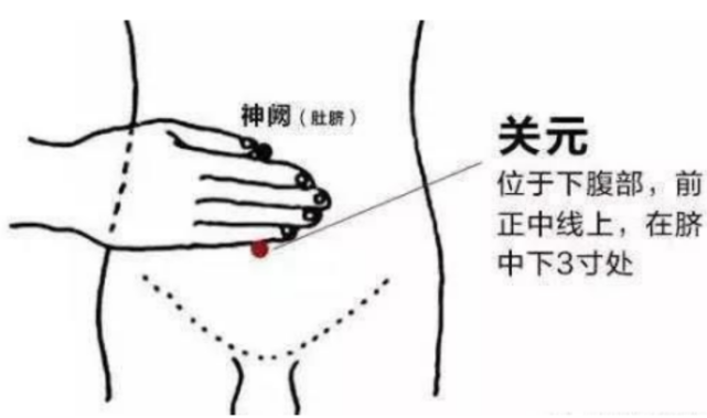 选穴原理:"腰背委中求".
