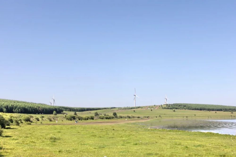 秋游御道口草原森林风景区