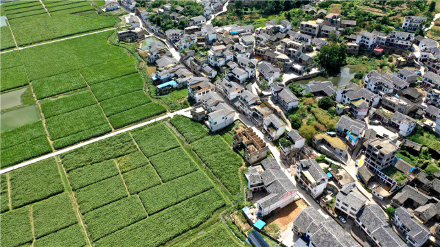 航拍贵州惠水美丽田园"好花红"