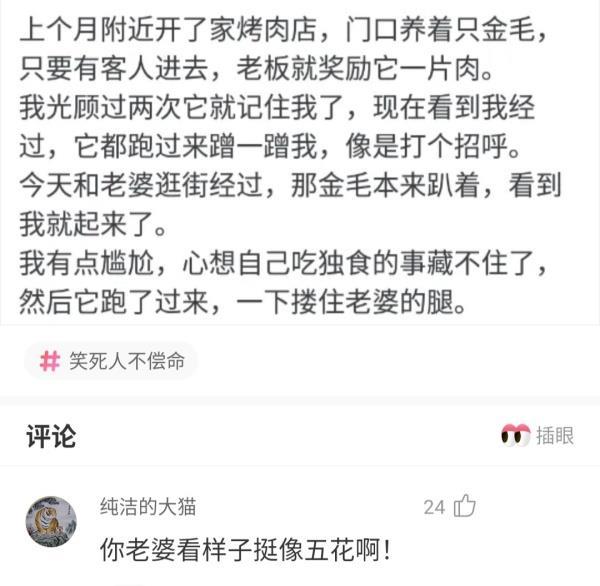 成语无什么质疑_帅什么无什么成语(4)