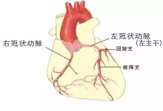 三根大血管堵了两根半,冠脉微创技术挽救男子"濒死"的心脏