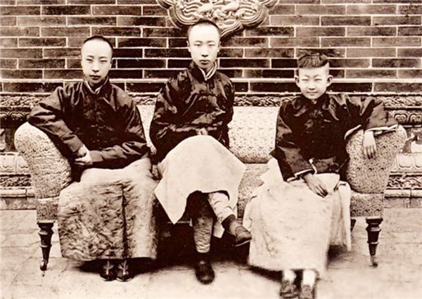 1995年溥仪儿子大闹骨灰迁葬仪式称大清有后了