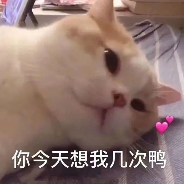 表情包Ⅰ可以 但没必要