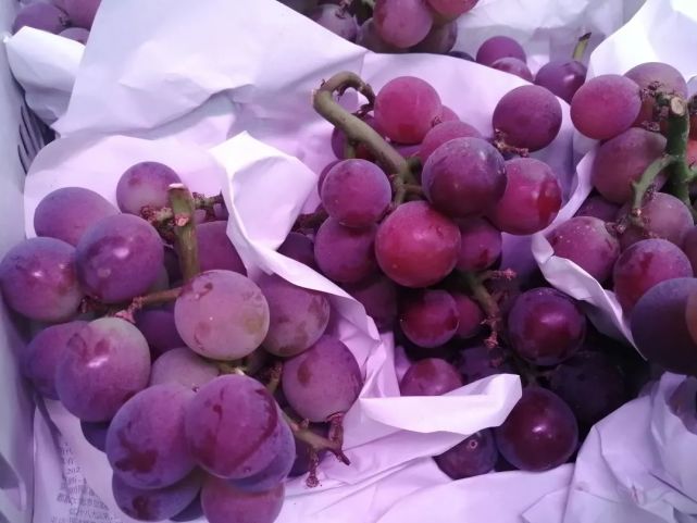 据摊主介绍,就口感来说,紫葡萄属于传统的味道,而"阳光玫瑰葡萄"肉质