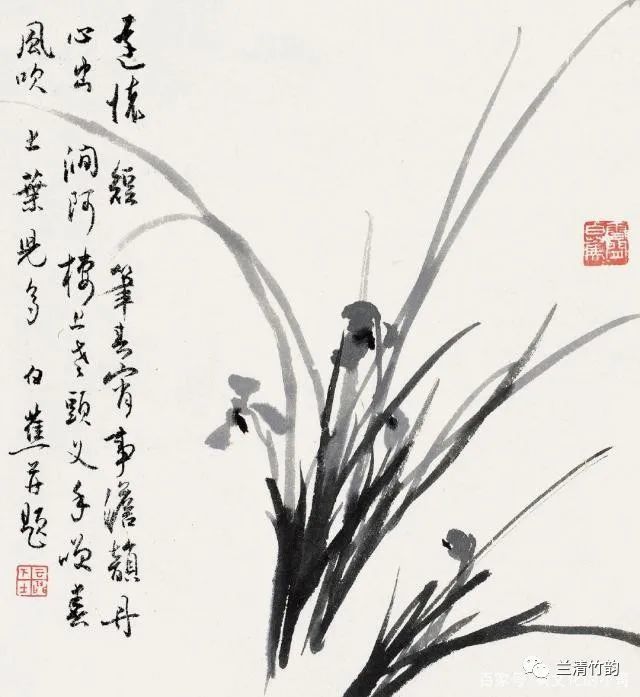 【怎样画兰】白蕉画兰花,被称为兰花王,在画兰花上300年无出其右者!