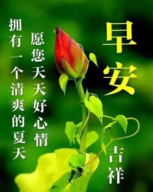 9月1日周三清晨早上好问候祝福动态表情图片 9月最新