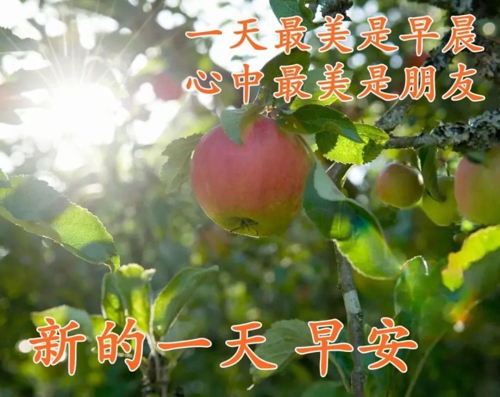 2021年9月7日星期二白露漂亮早上好问候动态表情图片带字 周二最美