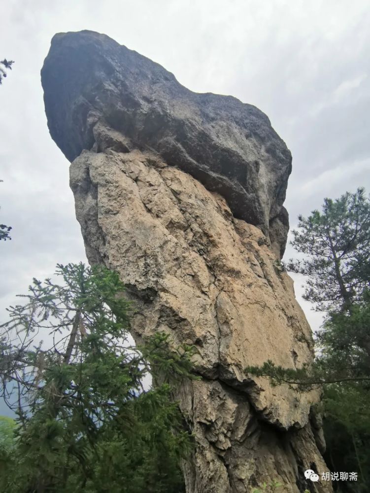 楠溪深峡有高崖,醉美石斑岩,你可知道?