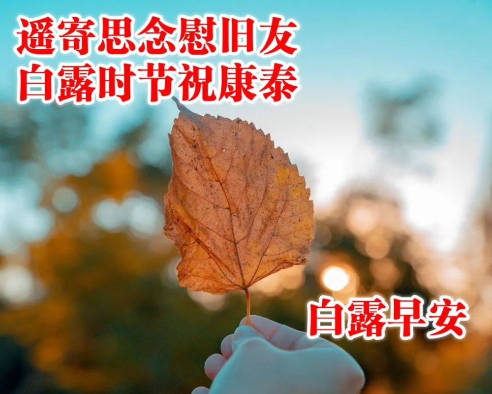 白露节气早安祝福问候语图片发朋友圈说说的白露暖心句子