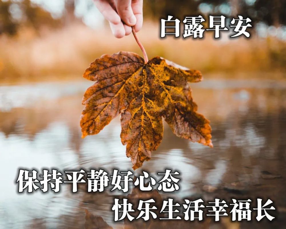 白露节气早安祝福问候语图片发朋友圈说说的白露暖心句子