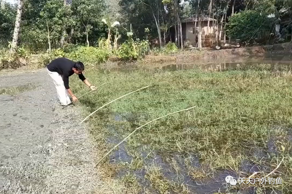 秋季黑鱼的几种民间钓法,来自民间的钓法,多是实用而且简单的!