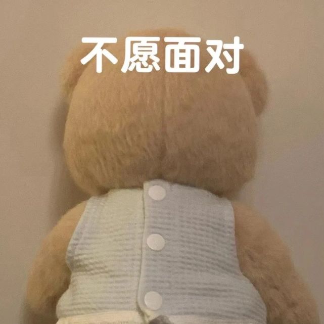莉娜熊表情包|治愈玩偶小熊表情包