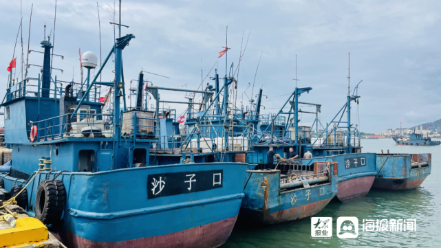 刚刚,青岛开海了!