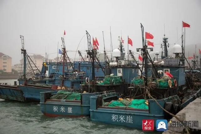 现场直击刚刚青岛开海了