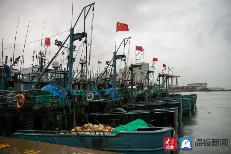 刚刚,青岛开海了!