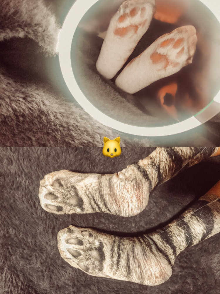 被猫爪袜萌化了私藏治愈系小物分享