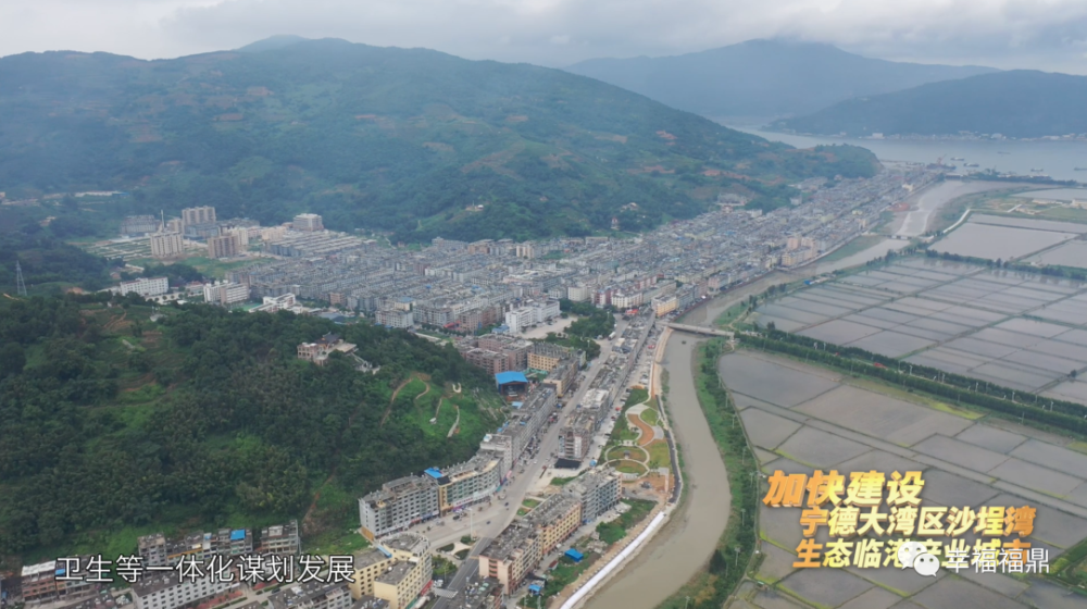 专访丨乡镇(街道,龙安)党(工)委主要领导谈学习贯彻党代会精神·龙安