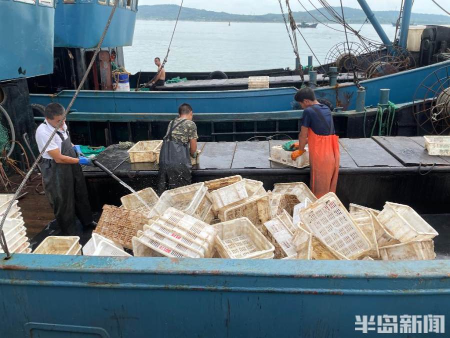 开海!青岛积米崖码头船只排队奔赴大海