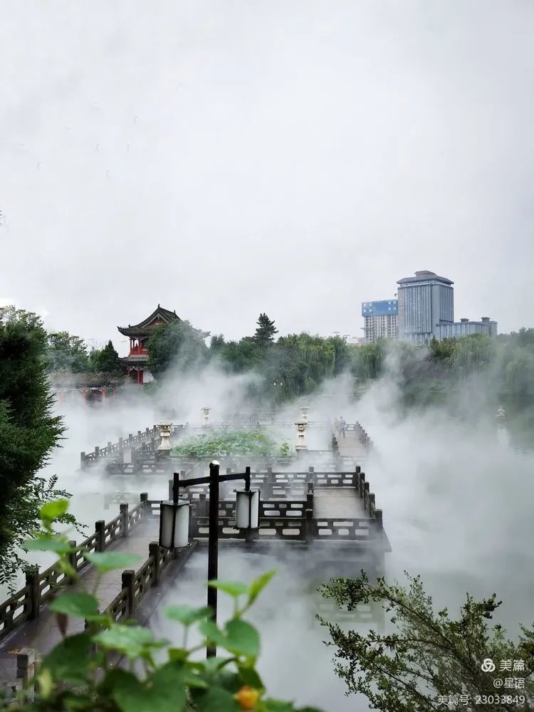 初秋的东湖公园更美了,亭台楼阁之间,荷花池畔,雾气缭绕,游人置身其中
