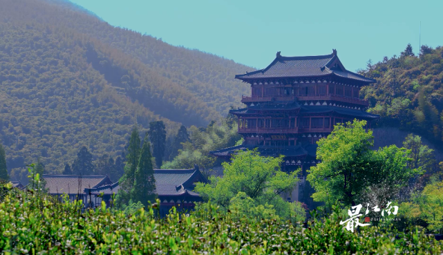 最江南醉杭州17禅茶一味径山寺与径山茶宴